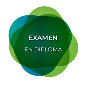 examen grafische vormgeving